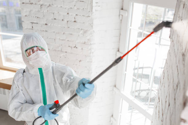 Professional Mold Removal in Hubbard, OH